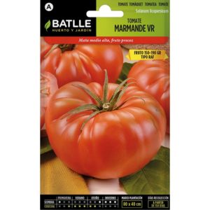 tomate marmande vr