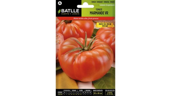 tomate marmande vr